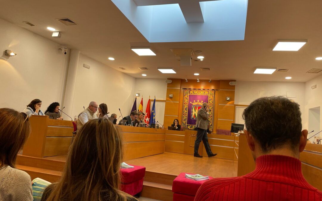 Pleno municipal ordinario Colmenar Viejo (mañanas)