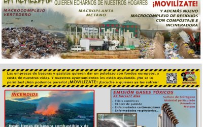 Lo que nos venden vs. la realidad