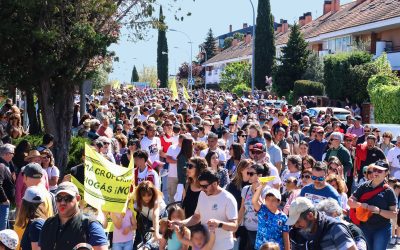 Comunicado conjunto: recursos contra la modificación de la autorización ambiental integrada
